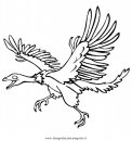 animali/dinosauri/Archeopteryx.JPG