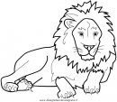 animali/leoni/leone_21.JPG