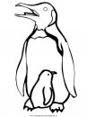 animali/pinguini/pinguino02.JPG