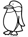 animali/pinguini/pinguino10.JPG