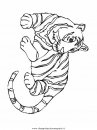 animali/tigri/tigre_03.JPG