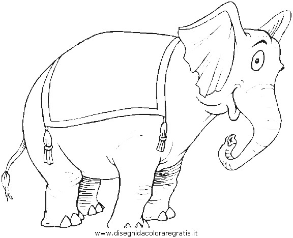 animali/elefanti/elefante_54.JPG