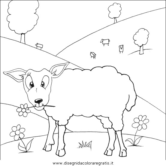 animali/pecore/pecora_pecore08.JPG