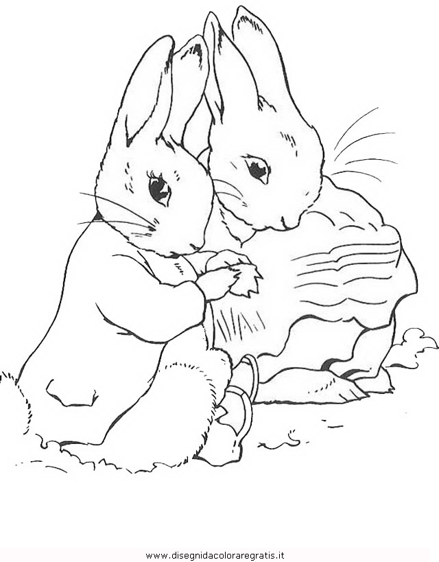 cartoni/peter_rabbit/peter_coniglio_rabbit_06.JPG