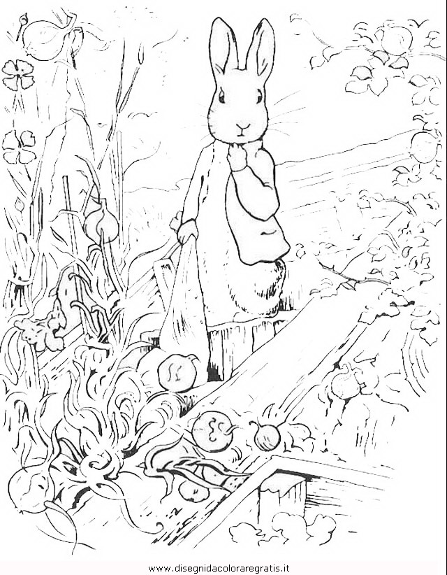 cartoni/peter_rabbit/peter_coniglio_rabbit_18.JPG