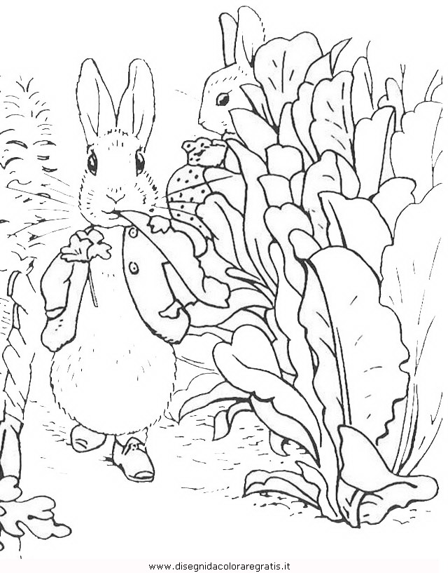 cartoni/peter_rabbit/peter_coniglio_rabbit_19.JPG