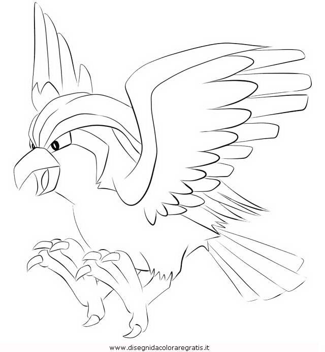 cartoni/pokemon2/pokemon-pidgeot-02.JPG