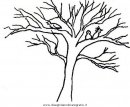 natura/alberi/tronco_7.JPG
