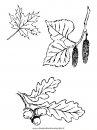 natura/foglie/foglie14.JPG