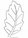 natura/foglie/foglie40.JPG
